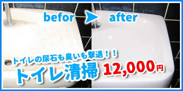 熊本のトイレ清掃ならトータルメンテナンスブラッシュアップまで！尿石や嫌な悪臭も撃退！キレイにピカピカ磨き上げます。
